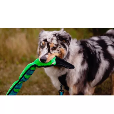 Product Outward Hound® Invincibles Snake Dog Toy - Squeaker