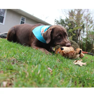 Product Outward Hound® Hedgehogz Dog Toy - Squeaker