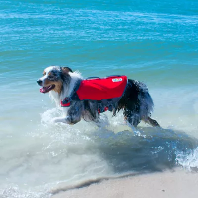 Product Outward Hound® Dawson Swim Dog Life Jacket