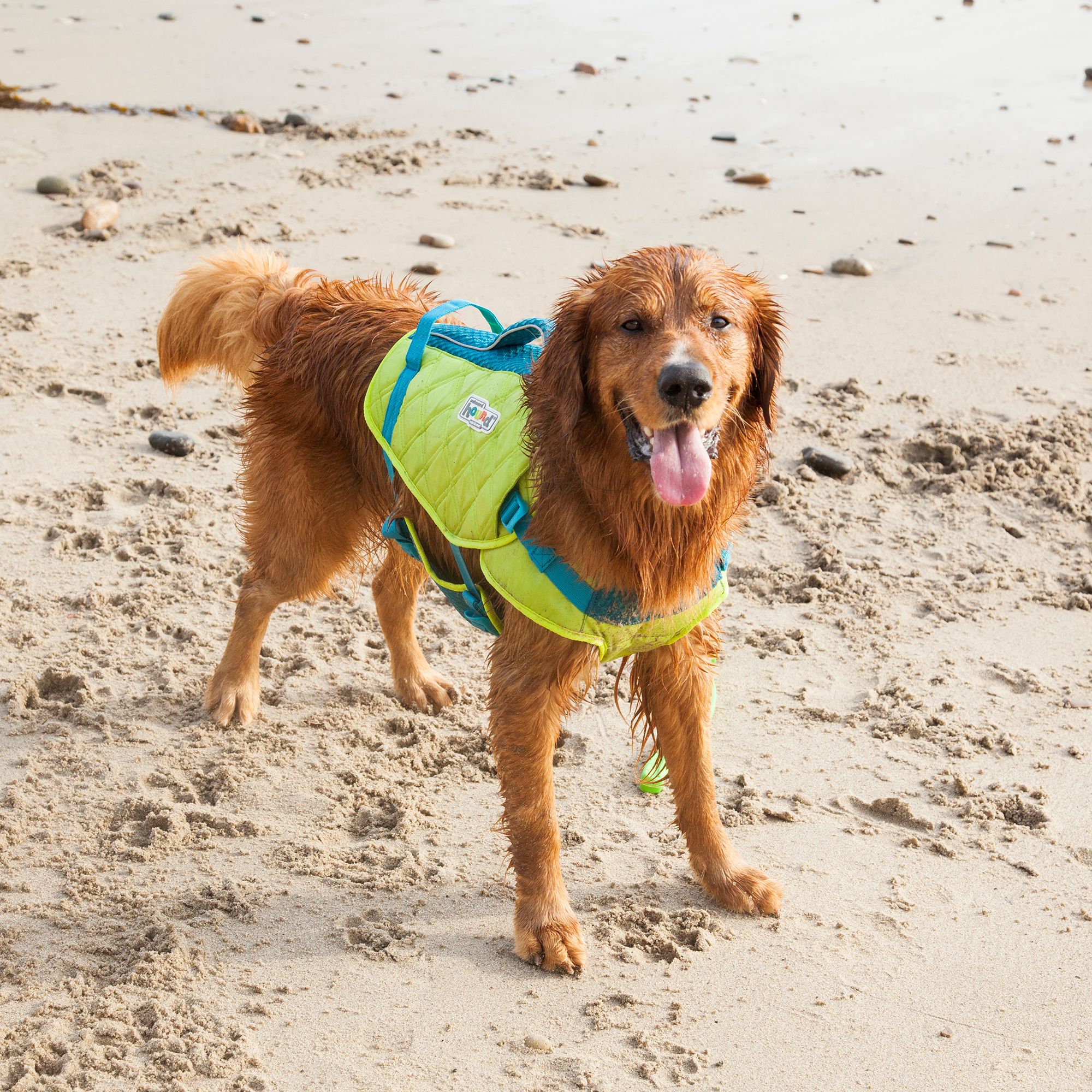 Dog Life Vests For Boating Colete Salva Vidas Outward Hound Dawson