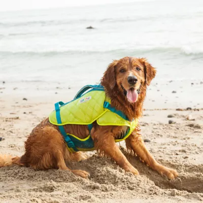 Product Outward Hound® Stanley Sport Dog Life jacket