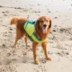 Product Outward Hound® Stanley Sport Dog Life jacket