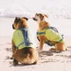 Product Outward Hound® Stanley Sport Dog Life jacket