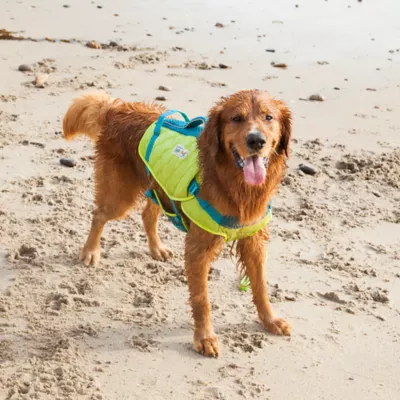 Outward Hound Stanley Sport Dog Life jacket