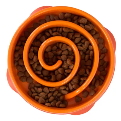 Product  Outward Hound Fun Slow Feeder Bowls