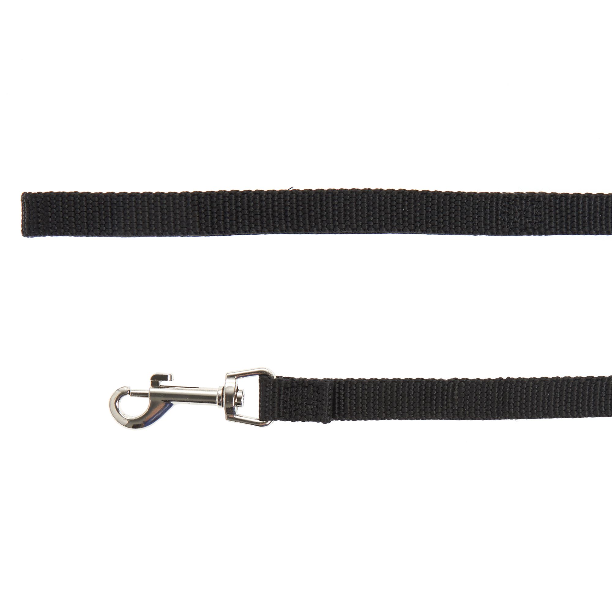 dog leash without clip