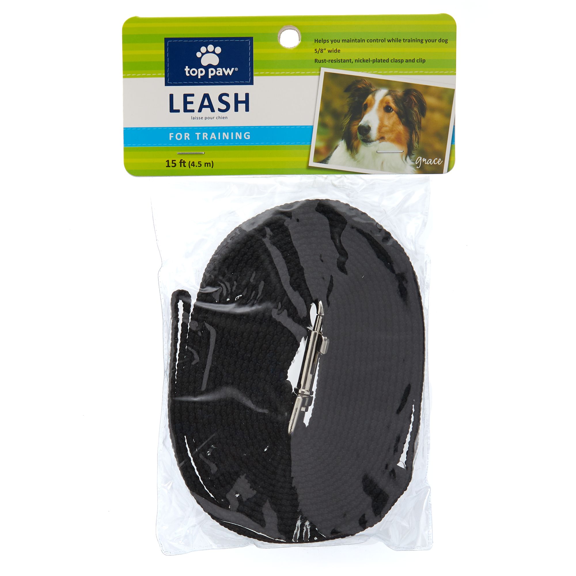 training leash petsmart