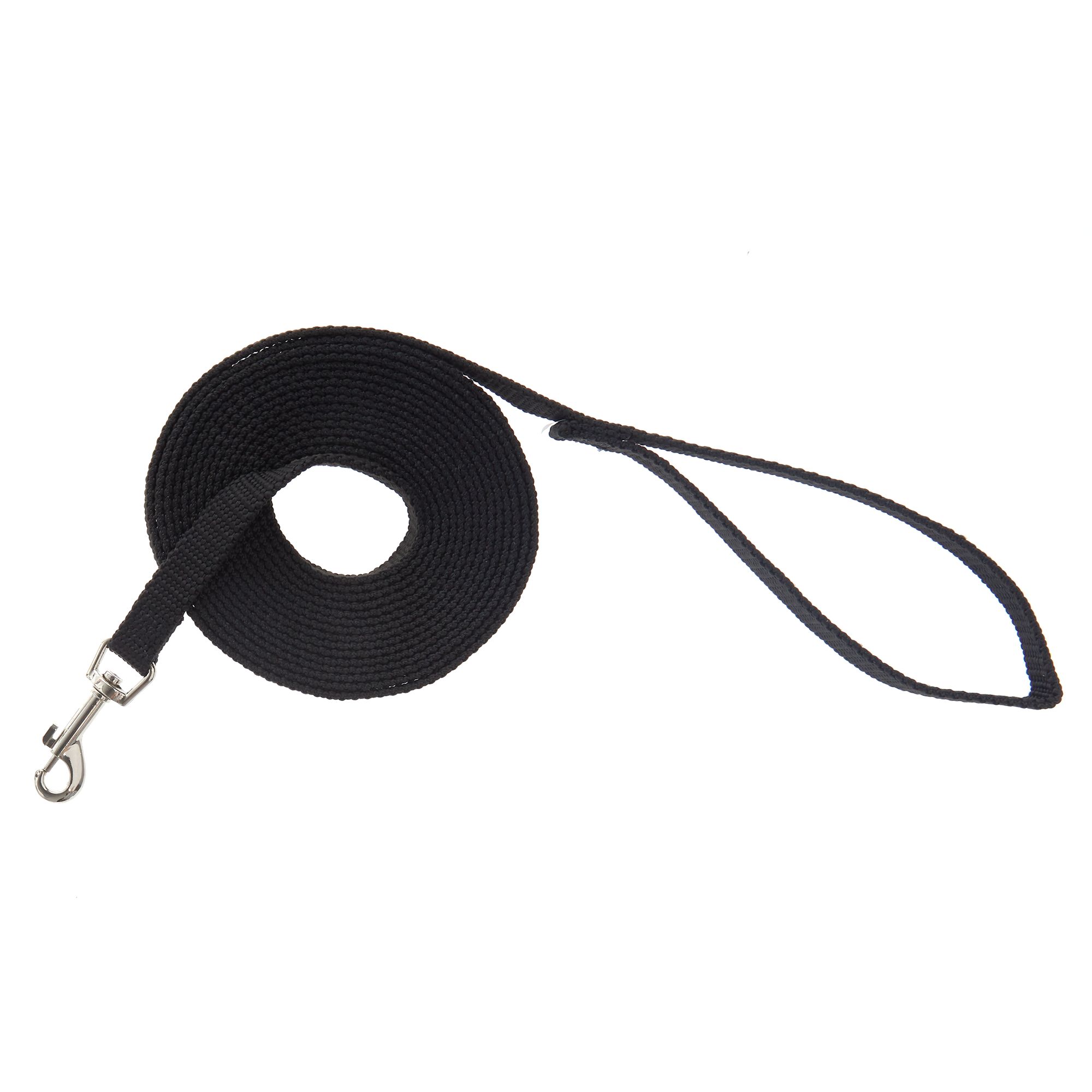 training leash petsmart