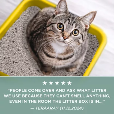 Product Purina® Tidy Cats® Free & Clean Clumping Clay Cat Litter - Unscented, Low Dust, Multi Cat