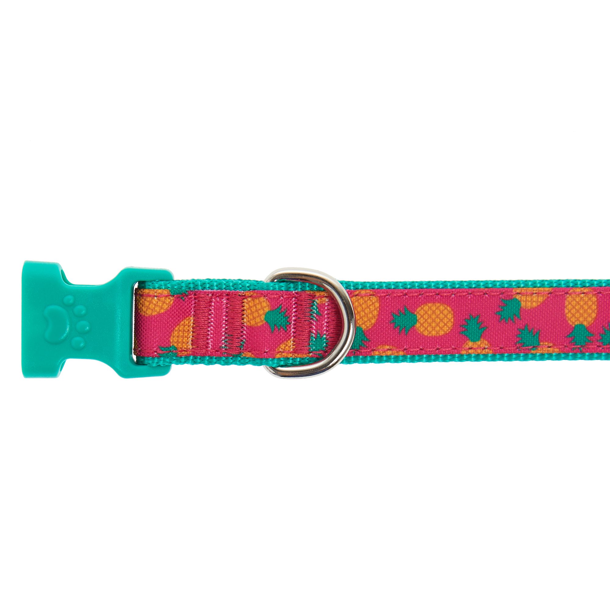 Top Paw® Pineapple Adjustable Dog Collar dog Collars PetSmart