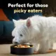 Product Cesar® Simply Crafted  Adult Wet Dog Food & Meal Topper - Grain Free, 1.30 Oz.