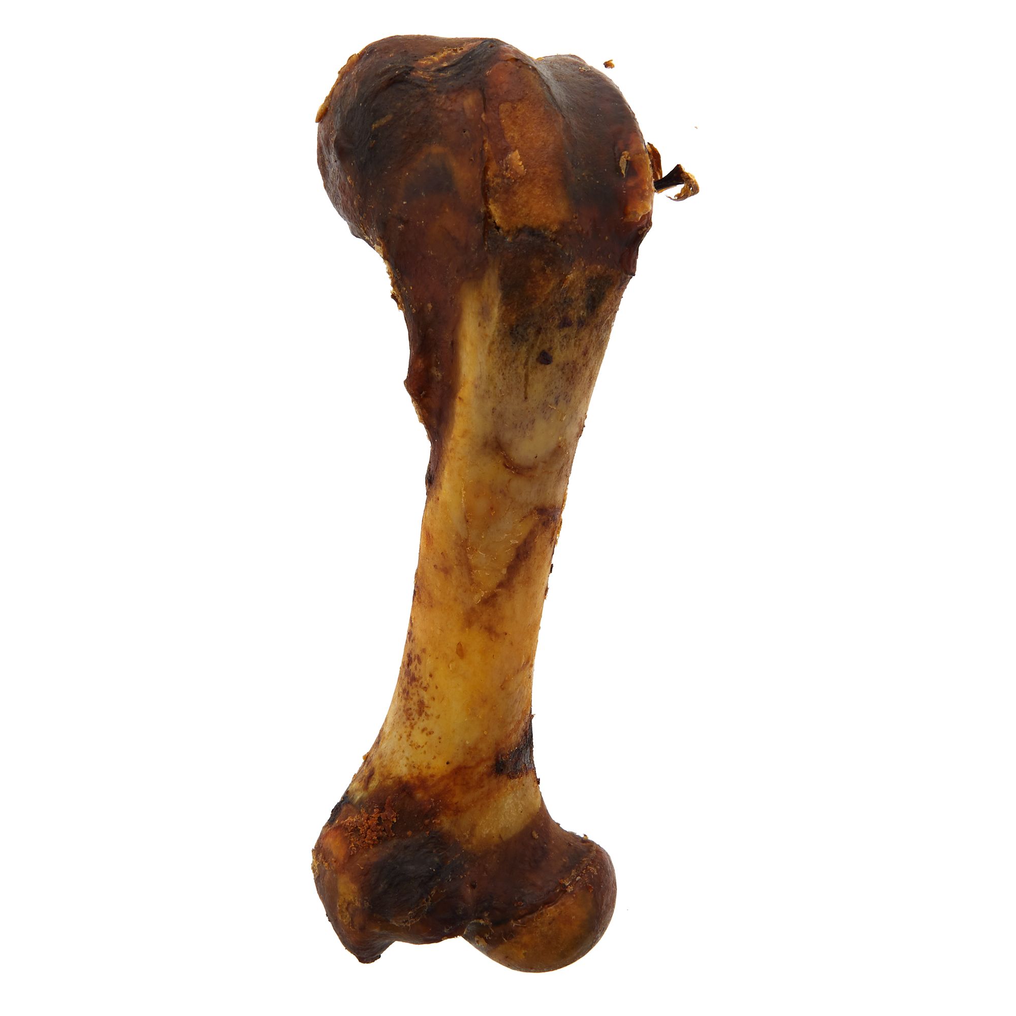 femur bone dog chew