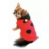  Hip Doggie Lady Bug Dog Sweater image thumbnail 5