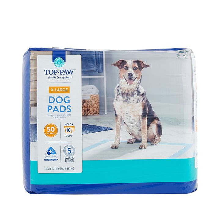 Top rated 2025 puppy pads