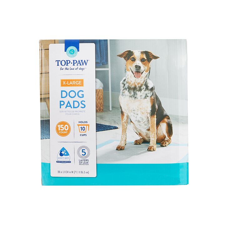 Pads for dogs 2025 in heat petsmart