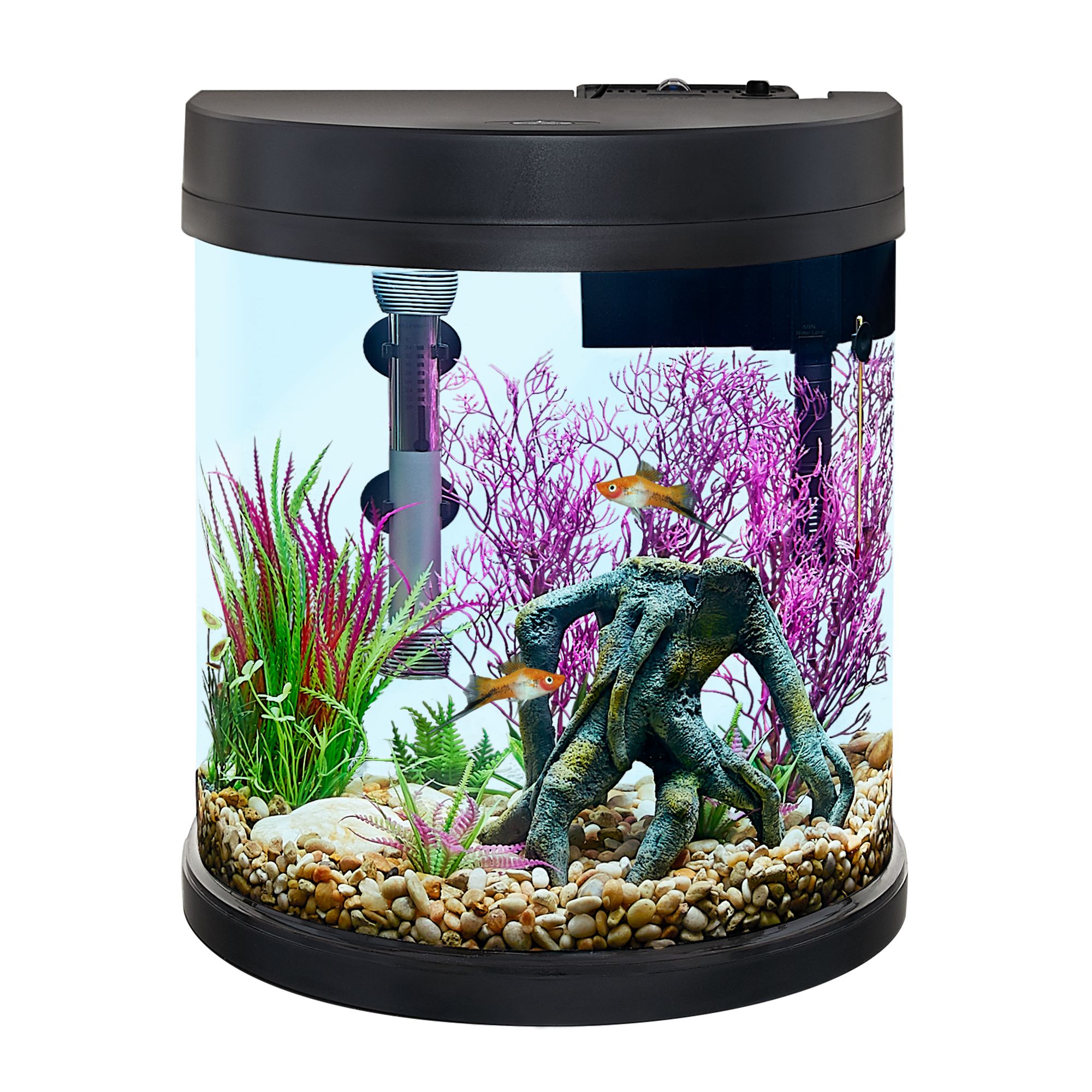 10 Gallon Fish Tank Stand Petsmart | Bruin Blog