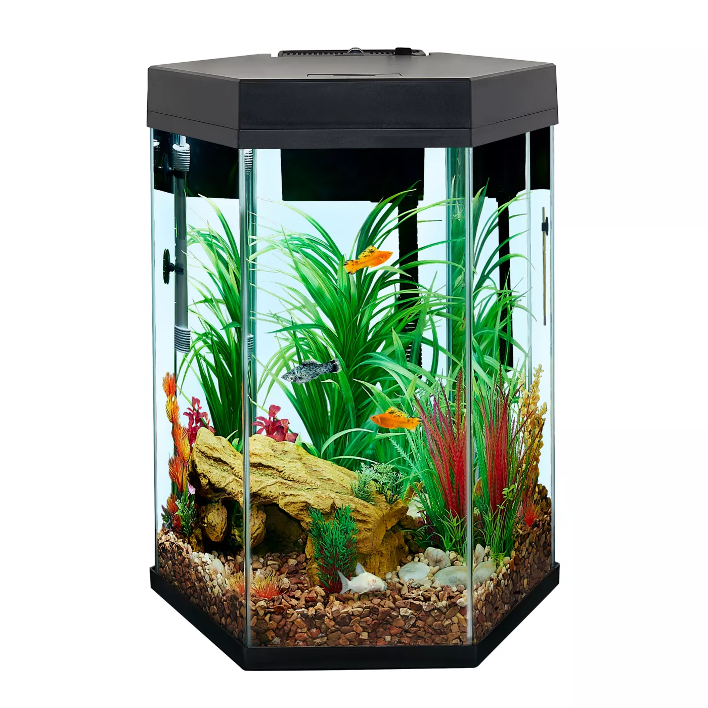 Aquarium filters at petsmart best sale