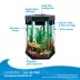 Top Fin® Captivate Starter Kit image thumbnail 4