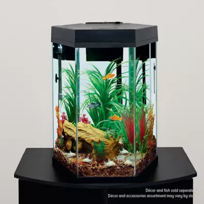 Top Fin® Captivate Starter Kit - Image 5