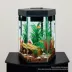 Top Fin® Captivate Starter Kit image thumbnail 5