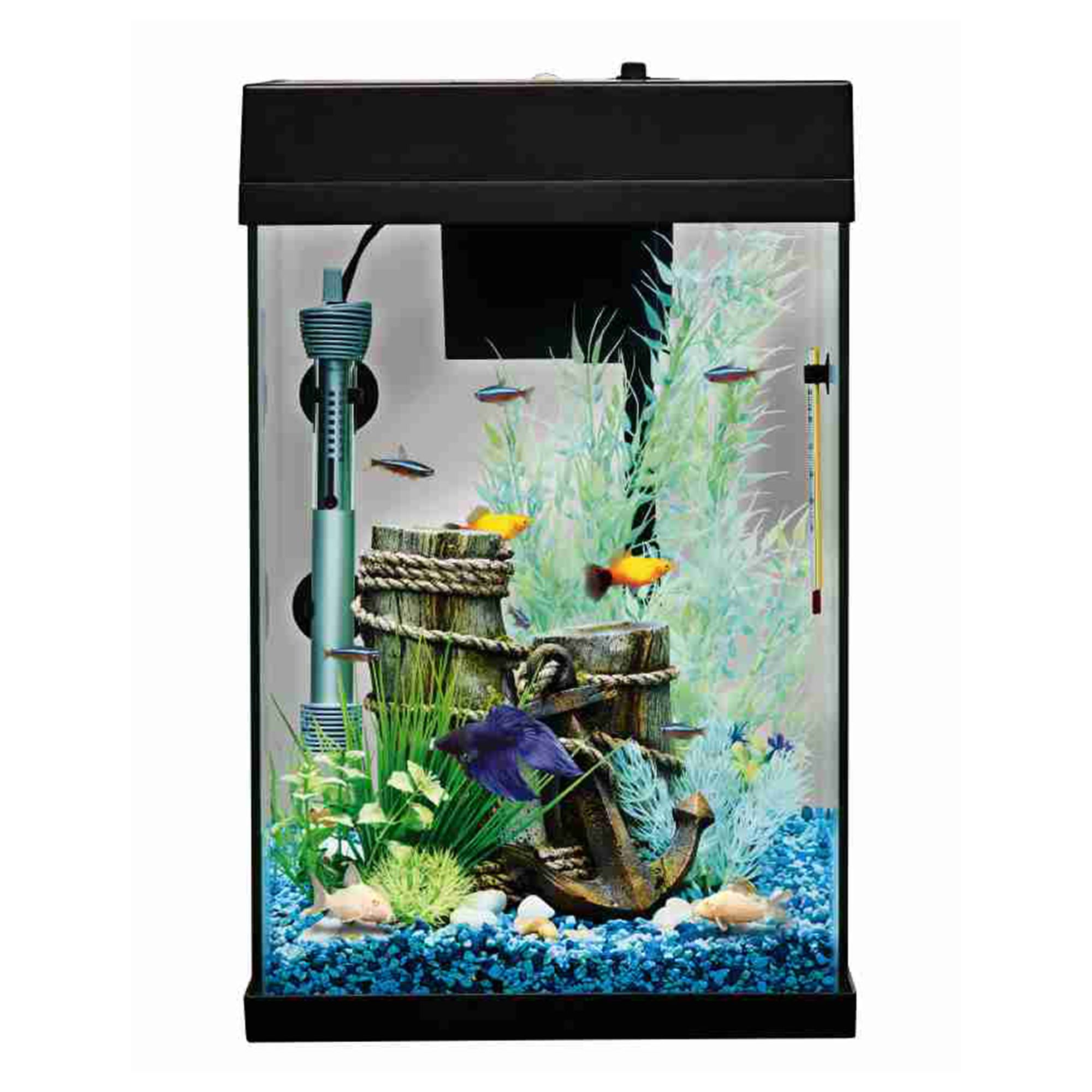 Petsmart 1 2024 gallon fish tank