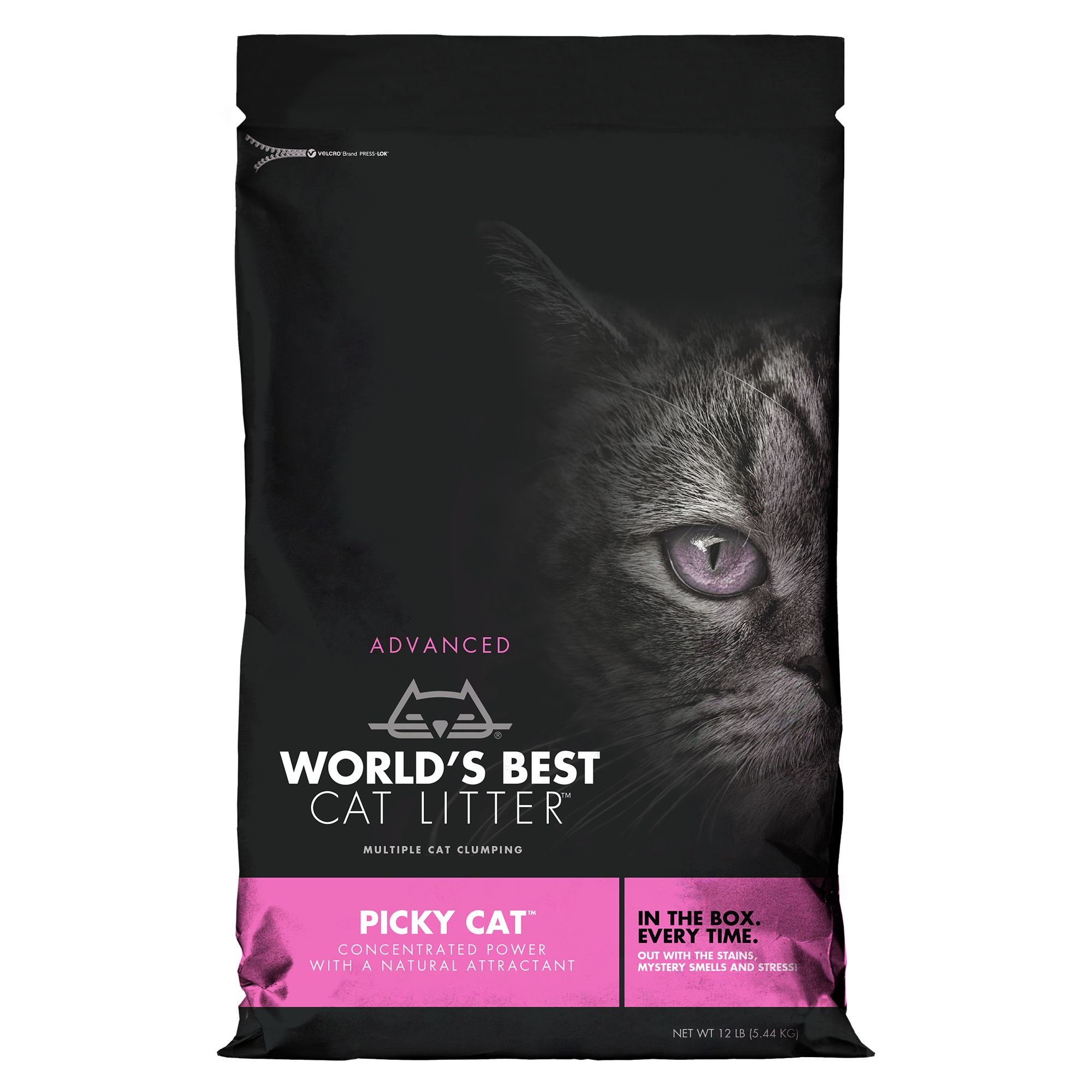 best cat litter