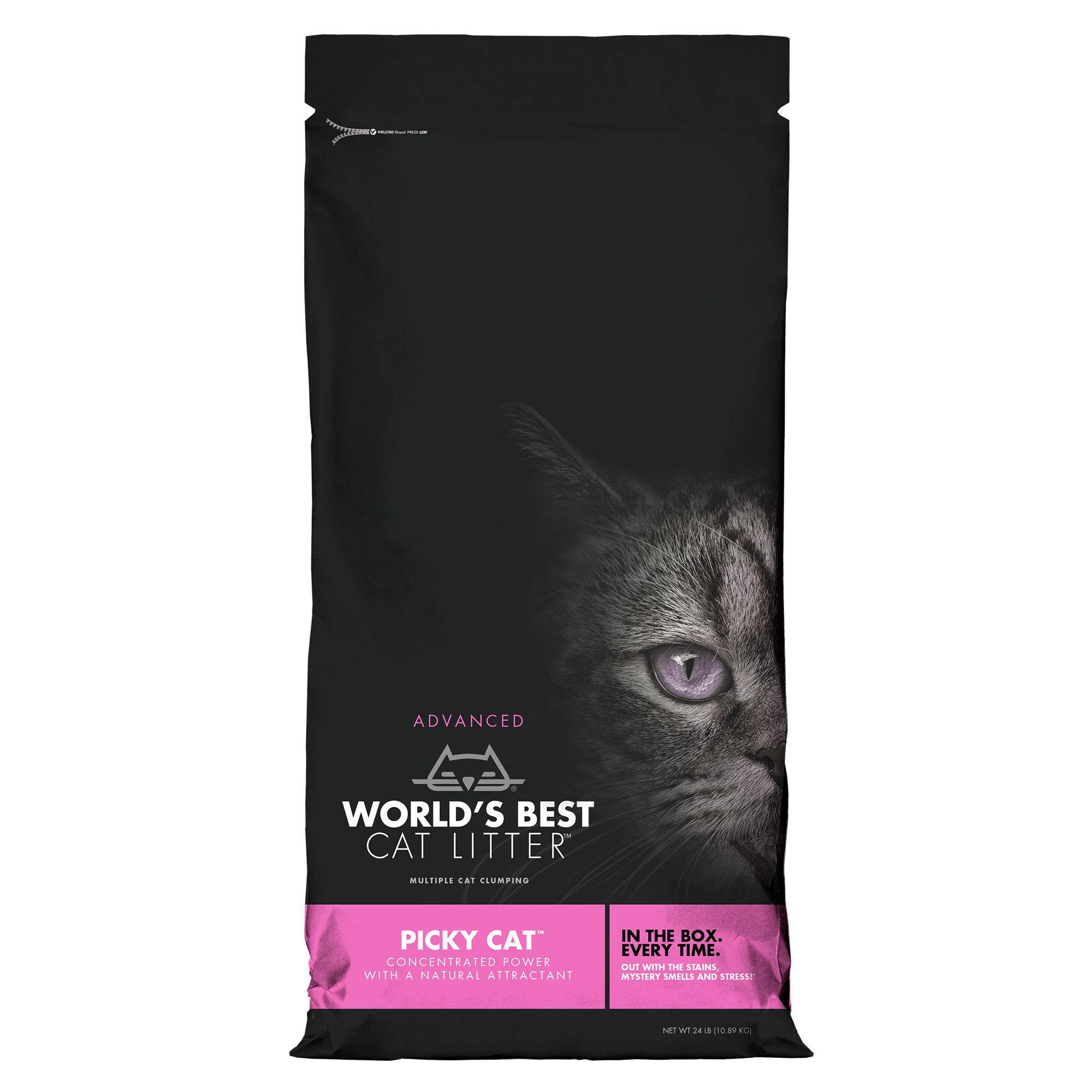 Best cat brand best sale