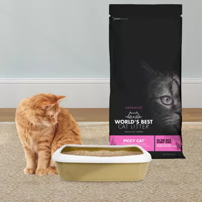 Product World's Best Cat Litter Advanced Picky Cat - Natural Attractant, Lightweight, Flushable, 24 LB