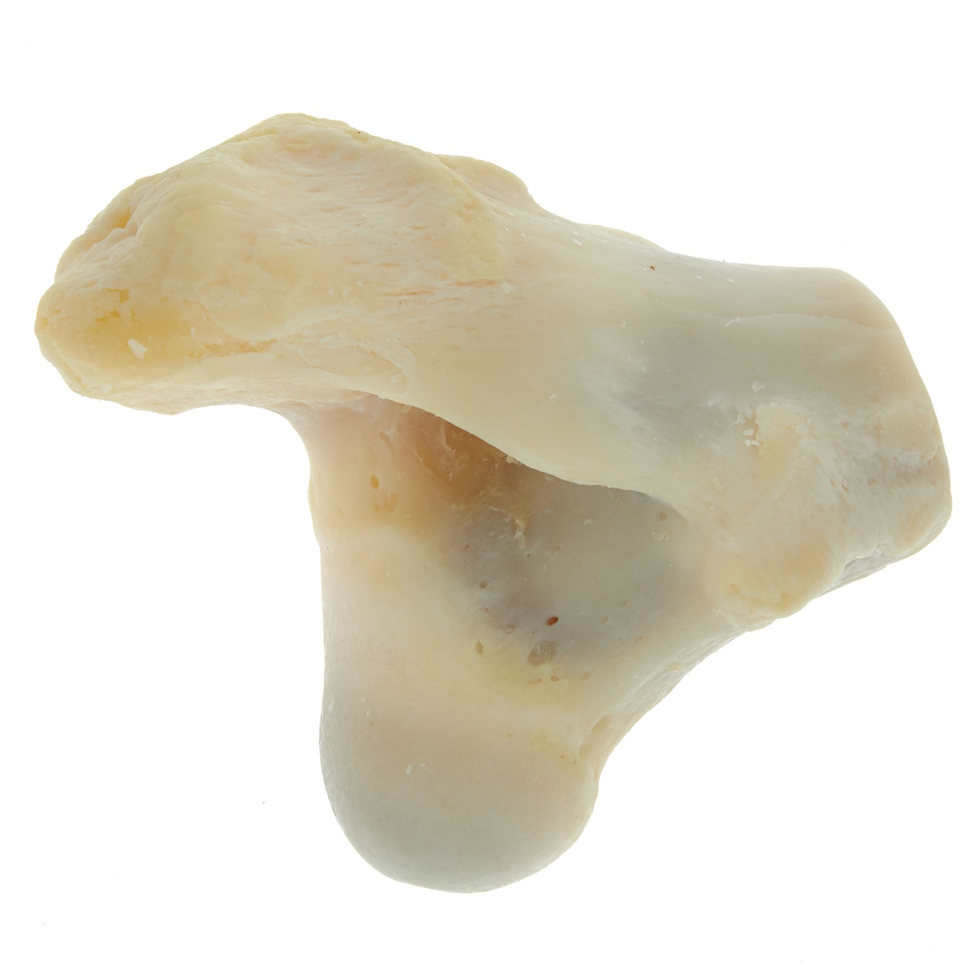 Dentley's sales knuckle bones