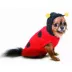  Hip Doggie Lady Bug Dog Sweater image thumbnail 1