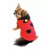  Hip Doggie Lady Bug Dog Sweater image thumbnail 5