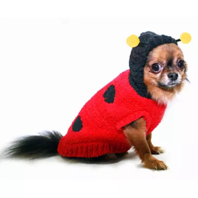 Product  Hip Doggie Lady Bug Dog Sweater