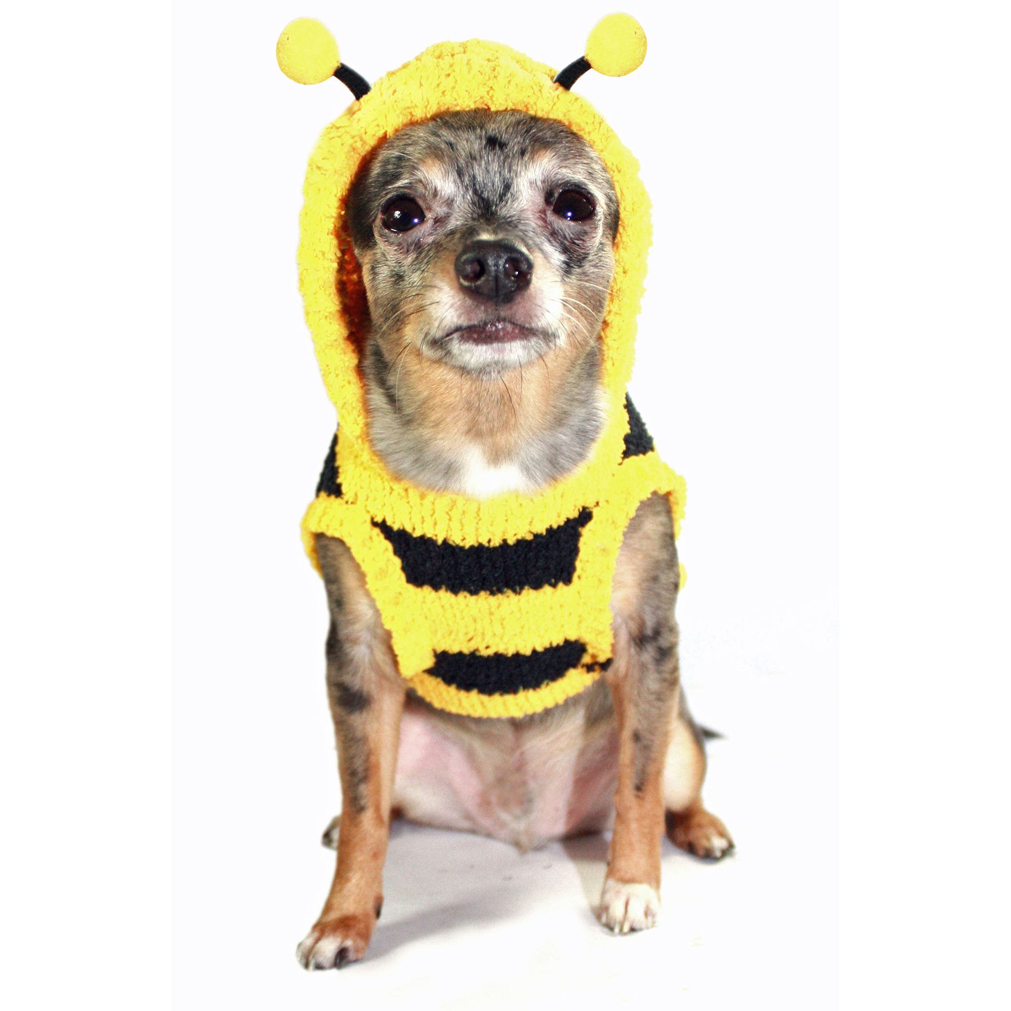 Bumble bee dog sweater best sale