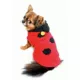 Product  Hip Doggie Lady Bug Dog Sweater