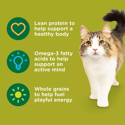 Product Rachael Ray Nutrish Dry Cat Food All Ages - Chicken, Brown Rice
