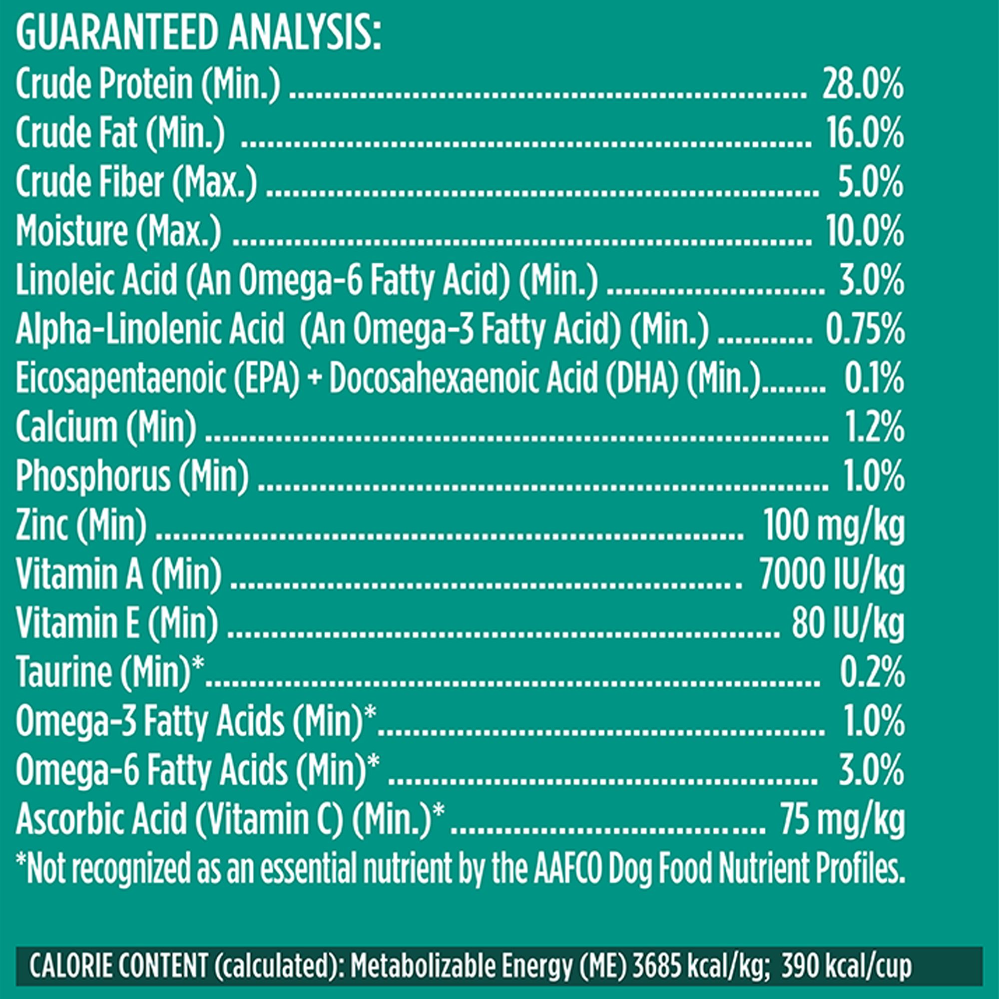 bright puppy rachael ray