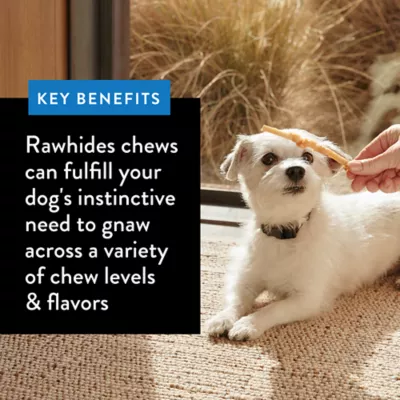 Product Dentley's® Traditional 9" Rawhide Knotted Bones Dog Chew - 4 Count