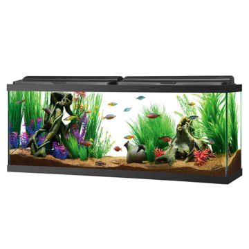 Top Fin Rose Gold Style Aquarium Tank - 3 Gallon | PetSmart