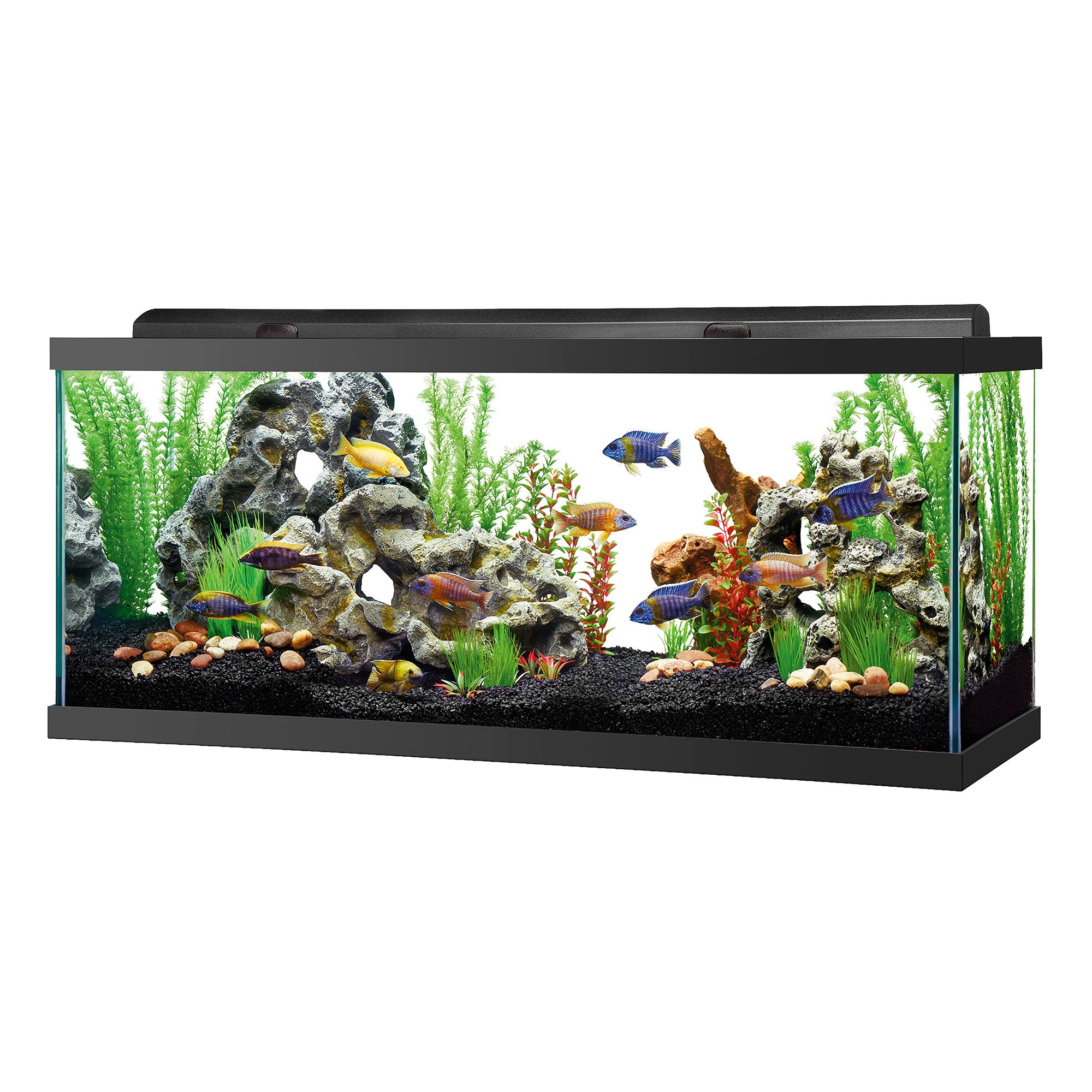 petsmart 50 gallon tank