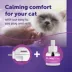 Feliway® Classic Plug-In Diffuser & 48ml Refill 30 Day Starter Kit image thumbnail 3