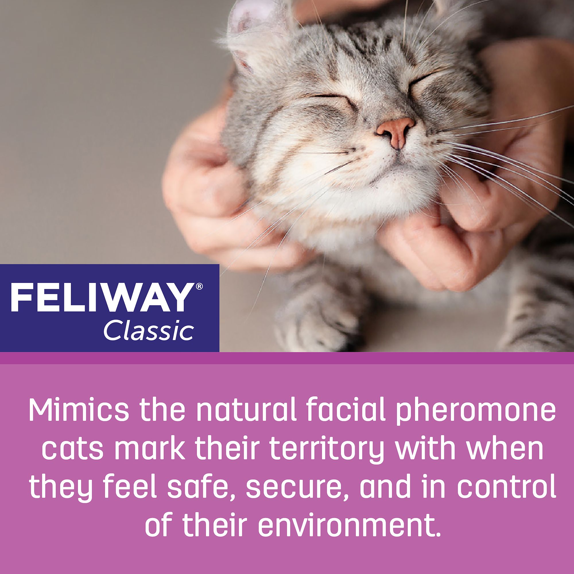 feliway multicat petsmart