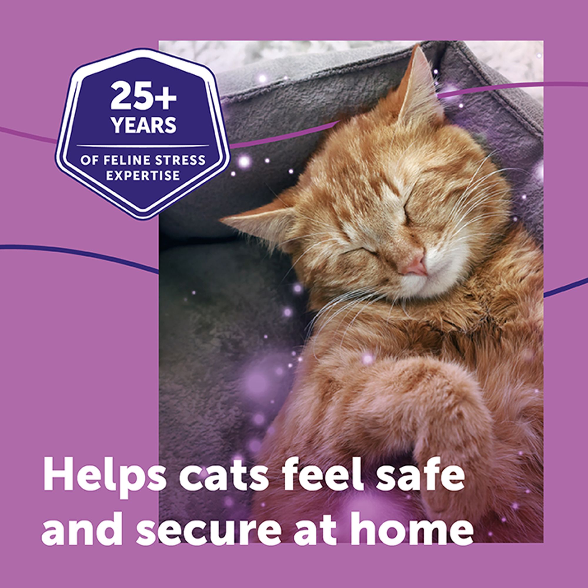 feliway refill petsmart