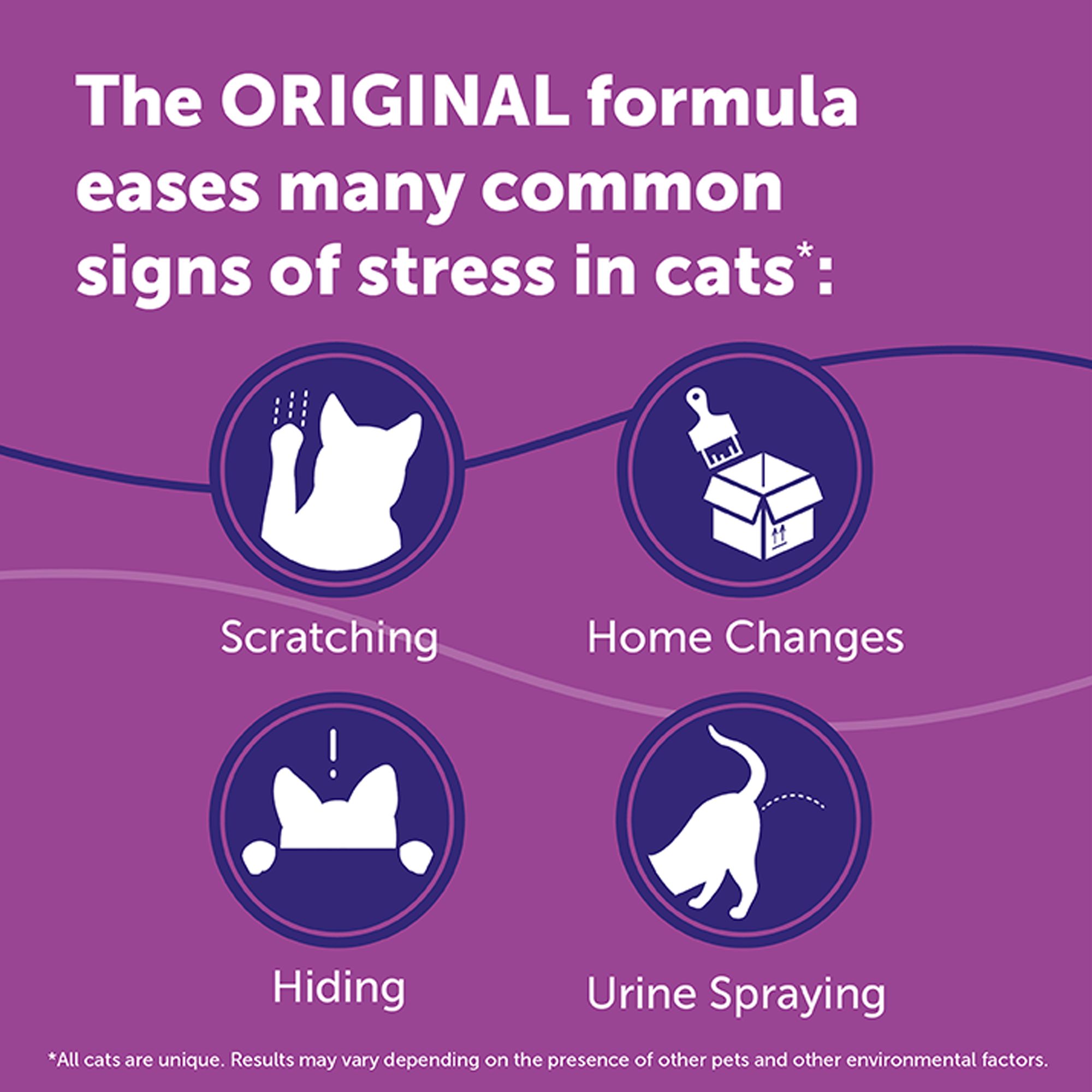 cat pheromone diffuser petsmart