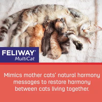 Product Feliway® MultiCat Starter Kit