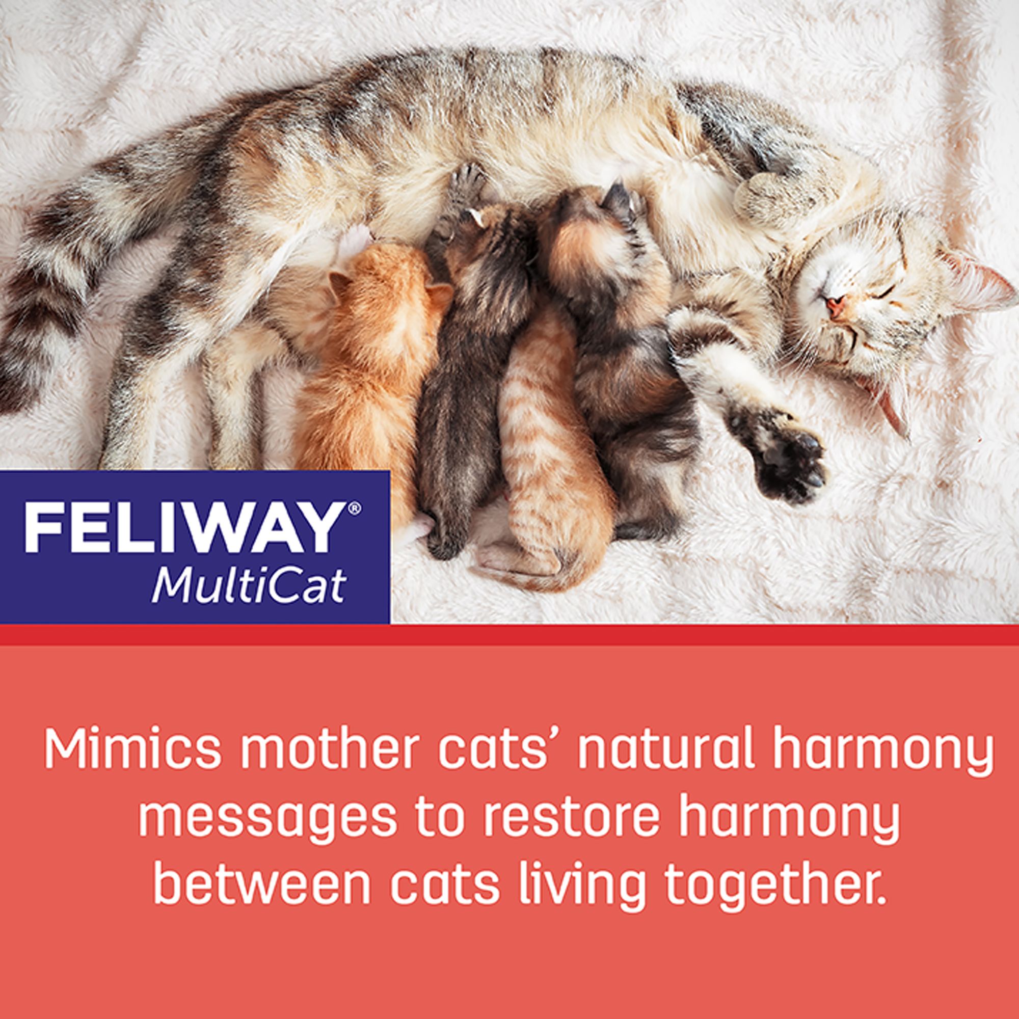 Feliway Cat MultiCat 30 Day Starter Kit Plug-In Diffuser & Refill, Stress Relief, 48 ml - thumbnail 7