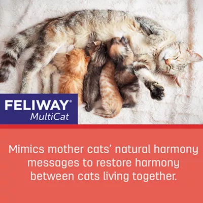 Product Feliway® MultiCat Starter Kit