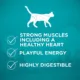 Product Purina One True Instinct Adult Cat Food - Grain Free, Chicken