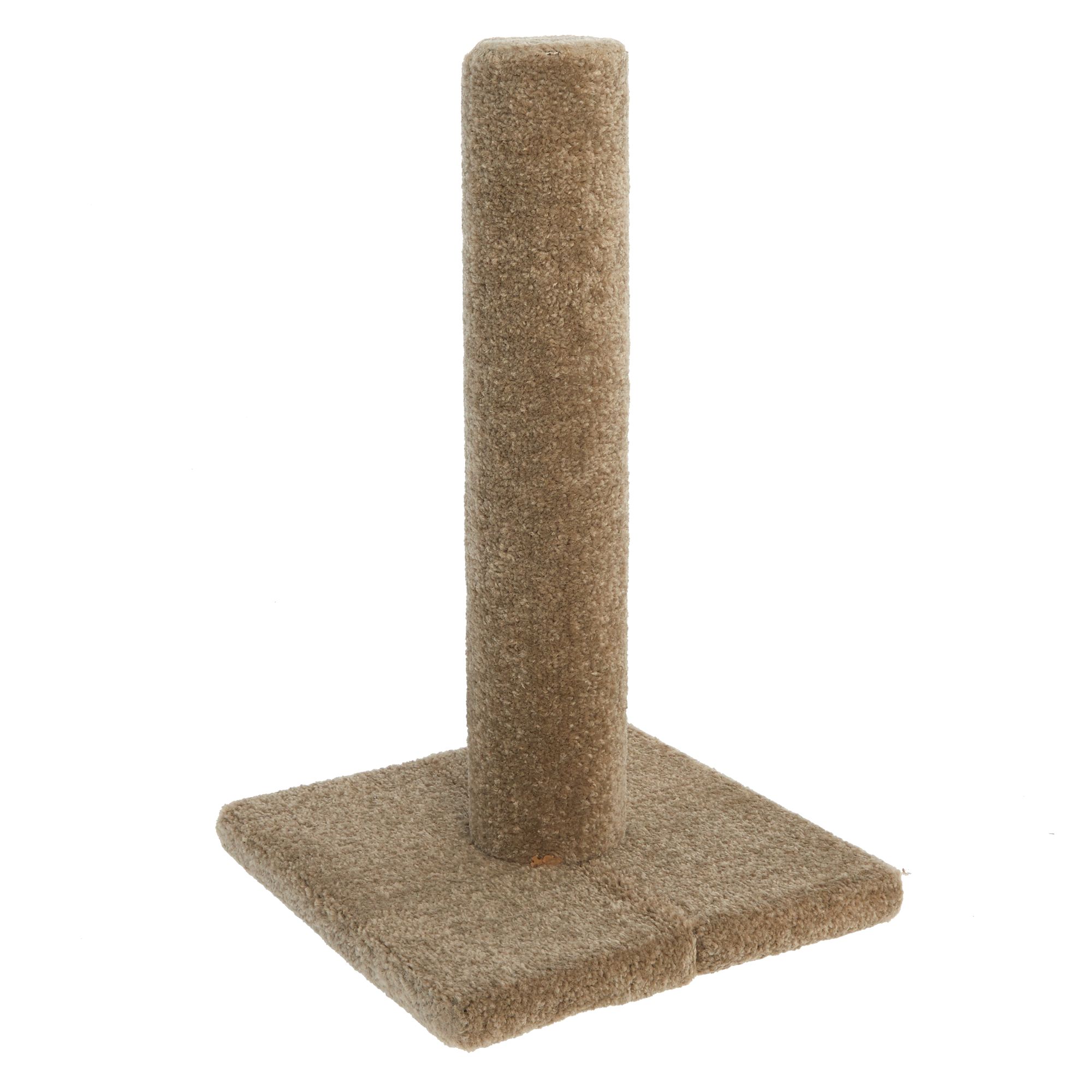 the scratching post cat hotel