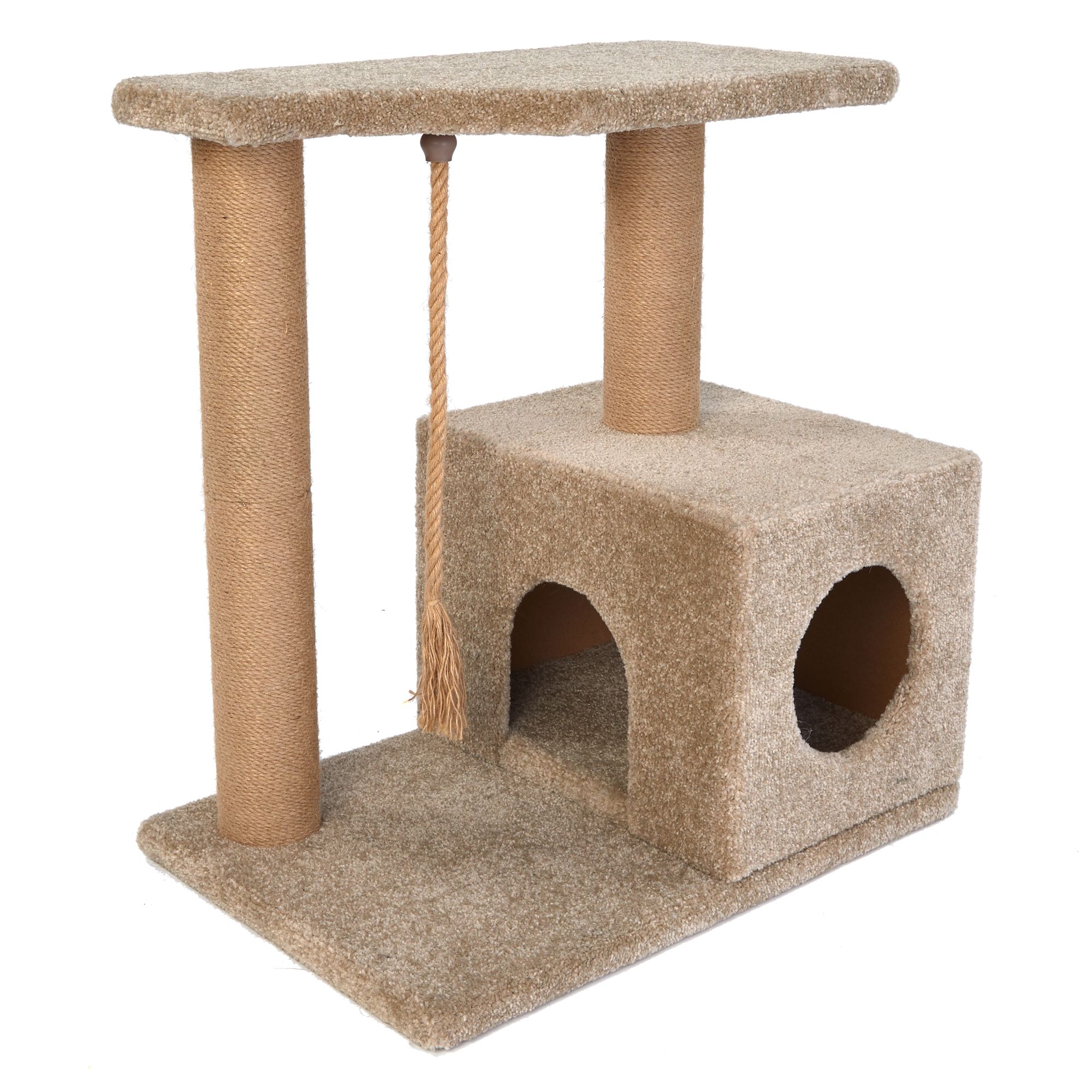 cat home