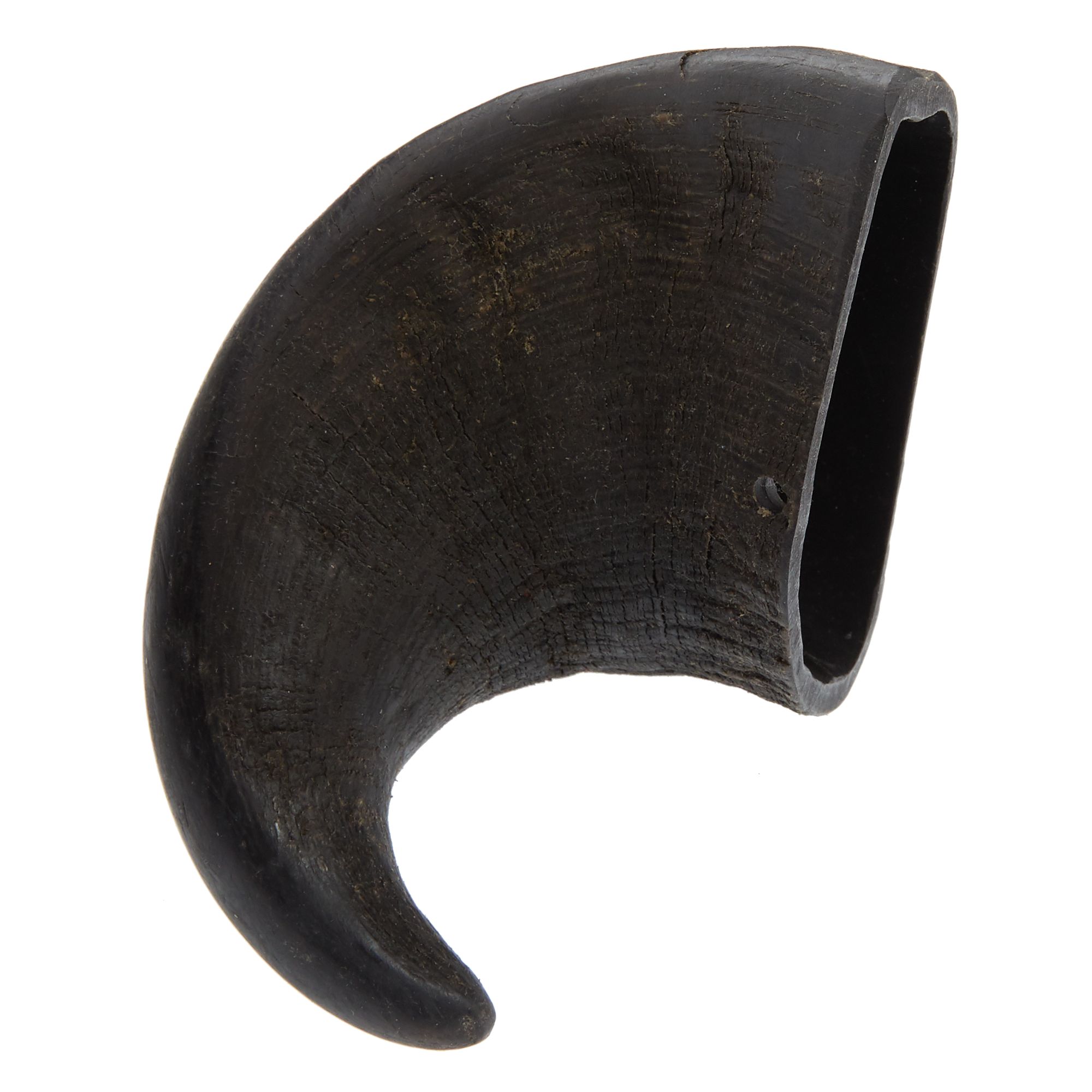 Chews Medium Buffalo Horn Dog Treat 